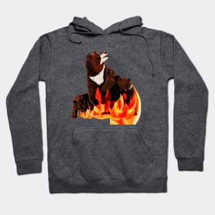 Taiga on fire #4 Hoodie